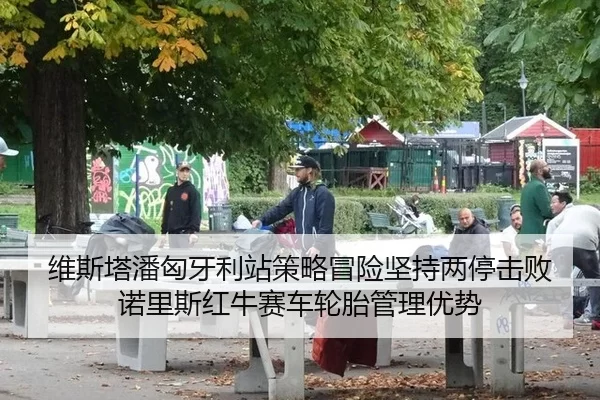 维斯塔潘匈牙利站策略冒险坚持两停击败诺里斯红牛赛车轮胎管理优势
